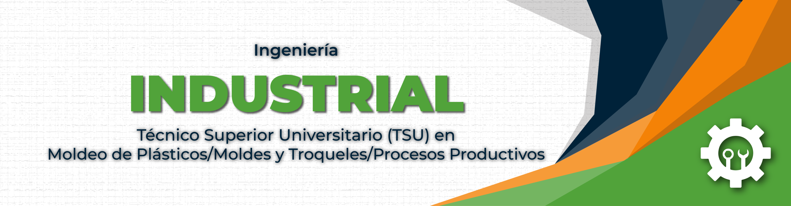 Ing. Industrial