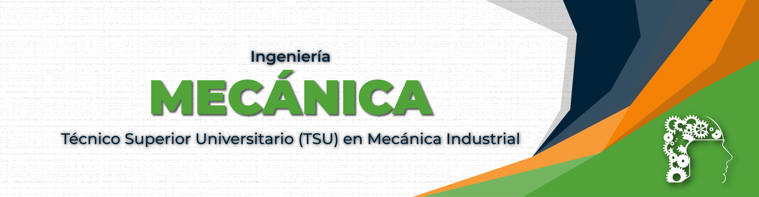 Ing. Mecanica
